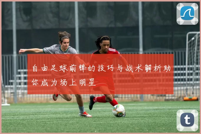 自由足球前锋的技巧与战术解析助你成为场上明星