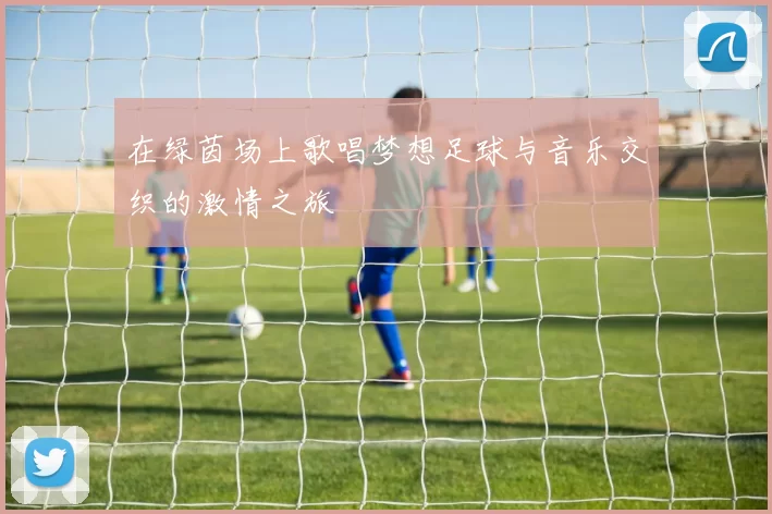 在绿茵场上歌唱梦想足球与音乐交织的激情之旅