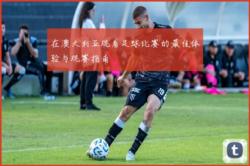 在澳大利亚观看足球比赛的最佳体验与观赛指南