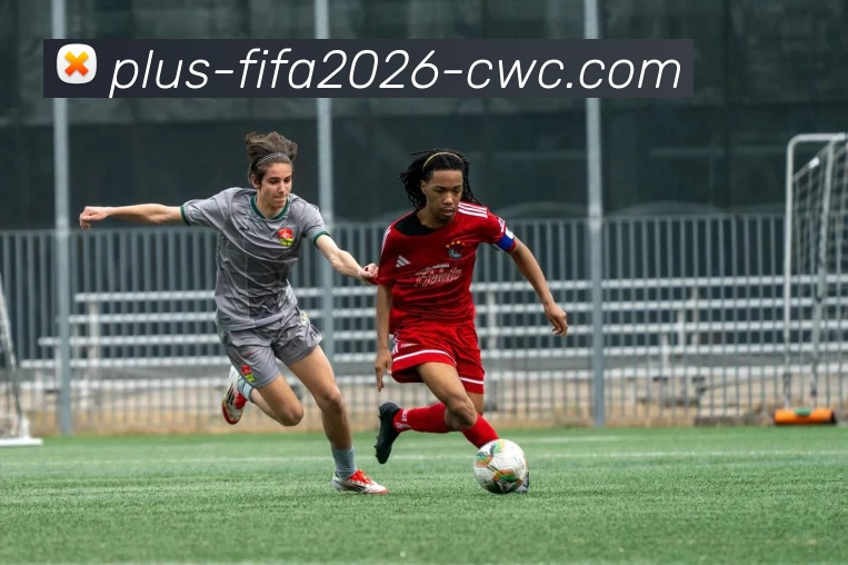 世界杯预选赛服务体系